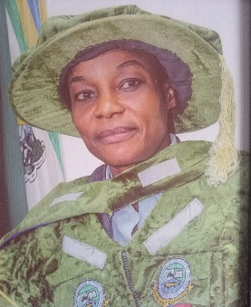 George Abiodun Omorinola(Mrs) (REGISTRAR/SECRETARY TO COUNCIL)